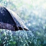 წვიმა, ელჭექი, სეტყვა, ნისლი - ამინდის პროგნოზი