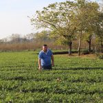 დავით თენიეშვილი: „მინდა დავანახვო ფერმერებს, თუ რამდენად სასარგებლოა ჩაის კულტურა“