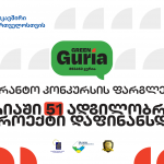 ევროკავშირის მხარდაჭერით მიმდინარე პროექტის „მწვანე გურია“ ფარგლებში ჩატარებული საგრანტო კონკურსის პროცესისა და შედეგების მოკლე მიმოხილვა