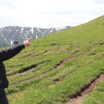 ზოტის კოოპერატივ „ულეველას“ პრობლემა: „ნახაზის შეცვლის გამო უსარგებლო, მიუდგომელი ადგილები გადმოგვცეს“