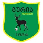„მერცხალის“ და „გურიას“ ფრე