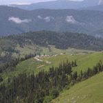 საძოვრებით სარგებლობის წესები აჭარა-გურიაში