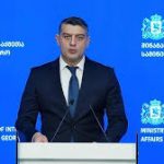 სამართალდამცველებმა სხვადასხვა ნეონაცისტური დაჯგუფებისა და ფაშისტური იდეოლოგიის მხარდამჭერი 13 პირი დააკავეს